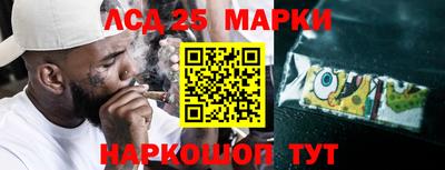 Альфа ПВП Ачхой-Мартан