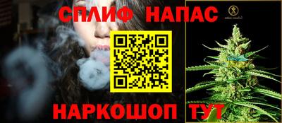 Альфа ПВП Ачхой-Мартан